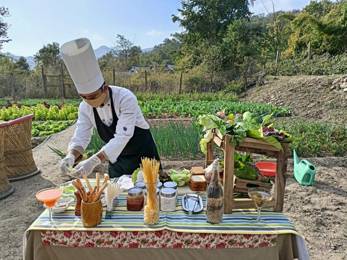 帕提利顿野外小屋 Garjia 外观 照片